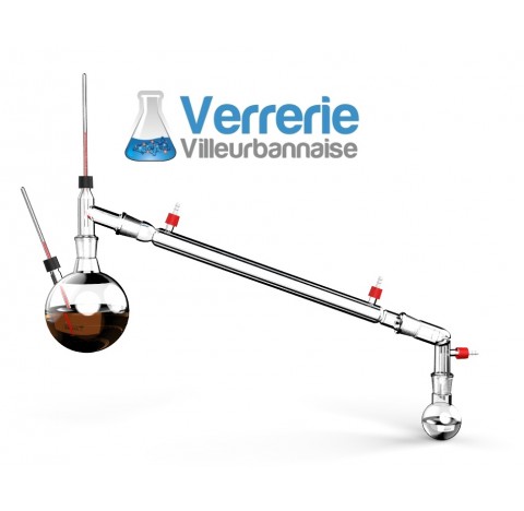 Ensemble de distillation sous vide comprenant Ballon bicol 500ml 24/29 rodaviss avec prise thermomet