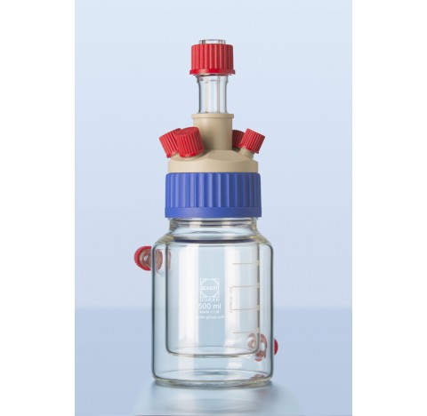 Capuchon GLS80 pour agitation reacteur inclusive Duran KPG-tiges calibrees pour agitateurs WS10 long