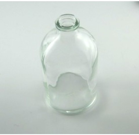 Flacon antibiotique 100 ml verre Borosilicate type 1 bague WI20