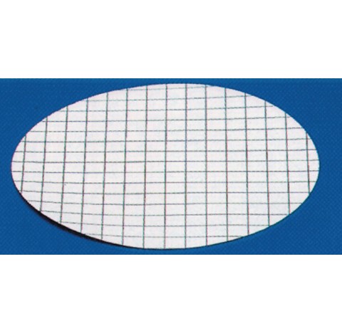 Membrane Nitrate Blanche quadrillée noir type 114,diamètre 47 mm, 0,2 µm 47mm, par 100 emballage ind