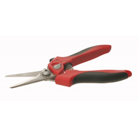 Paire de ciseaux inox long de lame 50mm longueur totale 210mm avec manche plastique