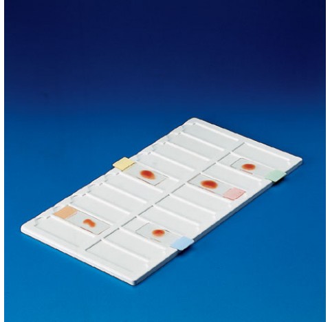 Plaque de presentation pour lames de microscopie PVC 20 places dim 190x340x8mm pour lames de 76x26mm