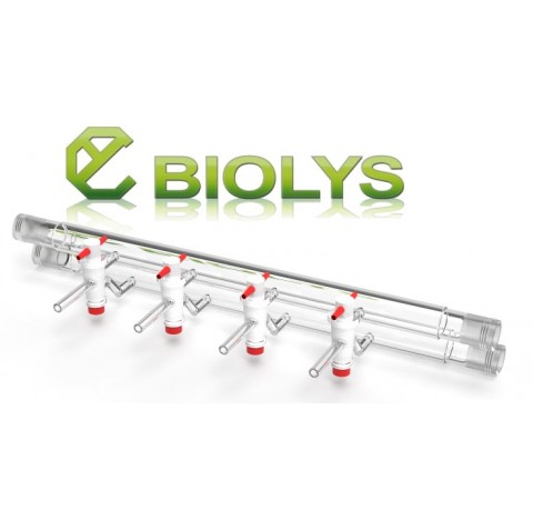 Rampe a vide double 4 voies robinet cle PTFE 2,5 mm olive verre, rodage femelle 19/26 rodaviss