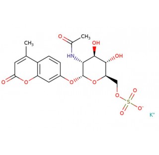 4-Methylumbelliferyl 2-acetamido-2-deoxy