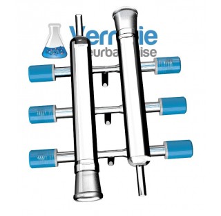 Rampe à vide double 3 sorties et 6 robinets Rotaflo 10 mm, 2x rodages 19/26 femelle et 2 sorties tub