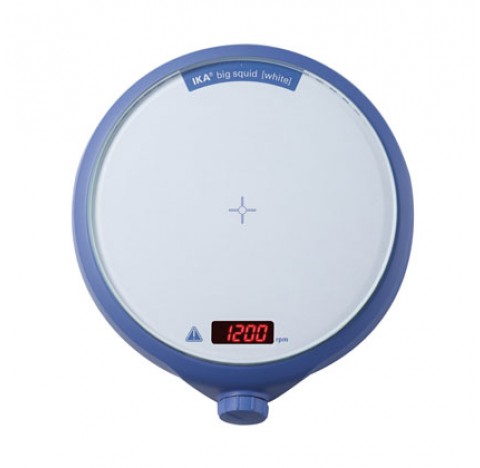 Magnetic stirrer w/o heating big squid white IKA