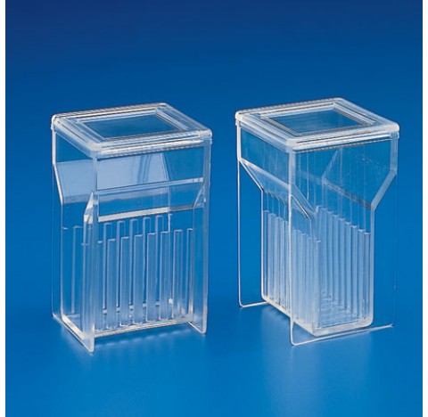 Staining jar Hellendhal type in PMP dimensions 58x53,5x86mm for slide 76x26mm (3x1)