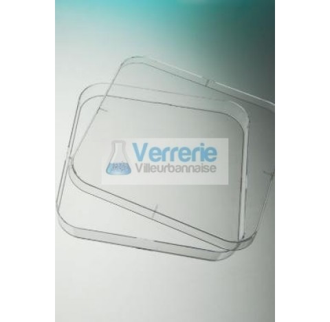 Square petri plate PS naturel 4 vents height 15.8 120x120, easy to open, 14/bag, STERILE R
