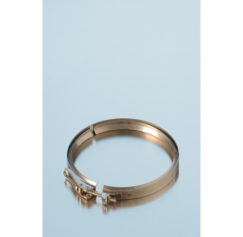 Quick release clamps in stainless steel, with 3 retaining clips, for flange DN 60 packing of 1