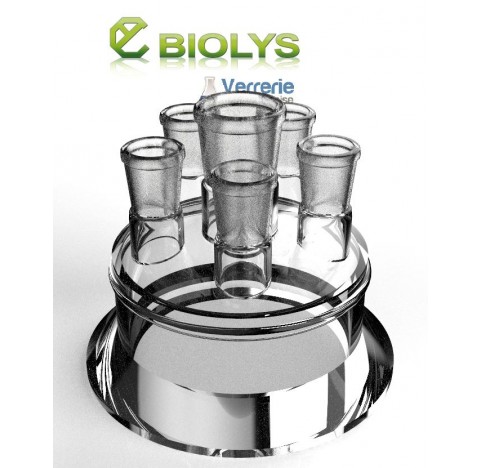 Couvercle DN 100 avec un rodage central 29/32 et 5 rodages 19/26 droits Hauteur :125 mm Pression max