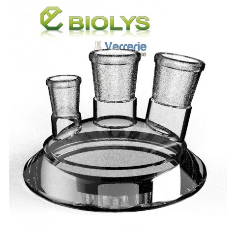 couvercle de reacteur DN100  un rodage central 29/32 ,un rodages incliné 29/32 et un rodage 19/26 dr