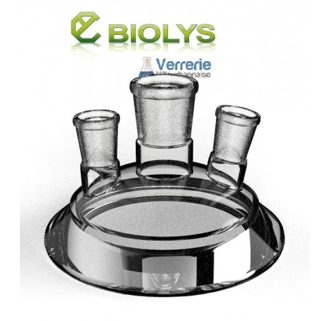 couvercle de reacteur DN100  un rodage central 29/32 ,un rodages incliné 19/26 et un rodage 14/23 dr