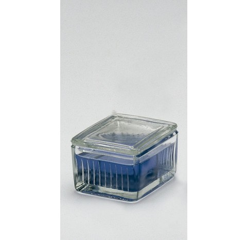 Cuve à coloration pour 10 lames 76x26 mm