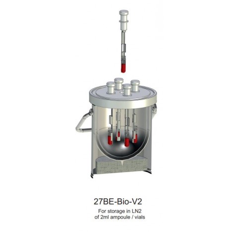 Recipient Dewar en inox/verre volume : 4 litres pour transport d'echantillon biologique, temperature