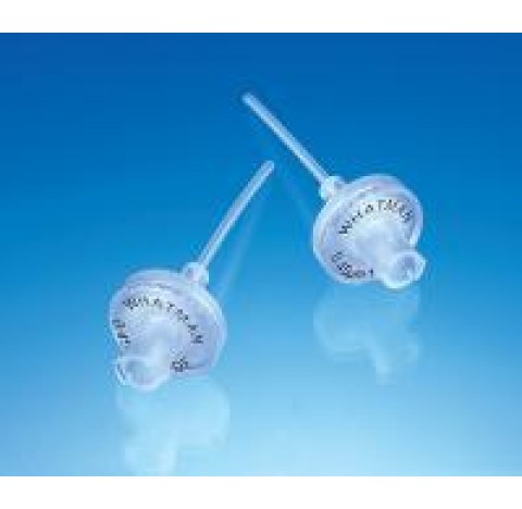 Syringe Filter Puradisc 13 pore size 0,2 um, filtration area 1,3 cm2, diameter 13 mm, 50 non sterile