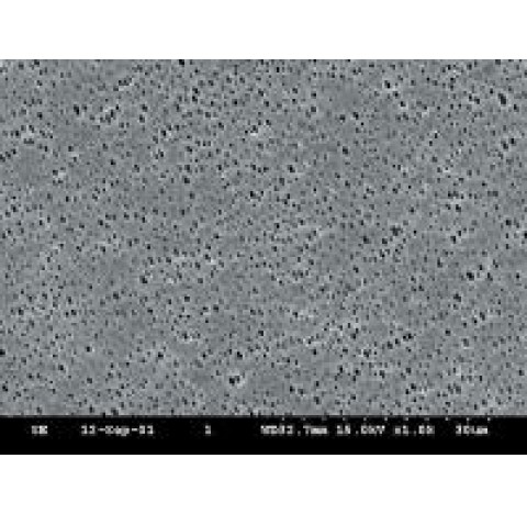 Polyamide Membranes NL16  diameter 25 mm, pore size 0,2 um,max. using temperature 135 degree, water 