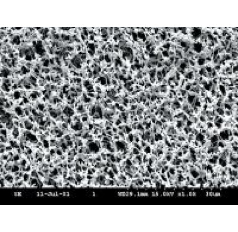 Sterile Mixed Cellulose Ester Membranes WME  diameter 47 mm, pore size 0,4 5 um, 100 white cellulose