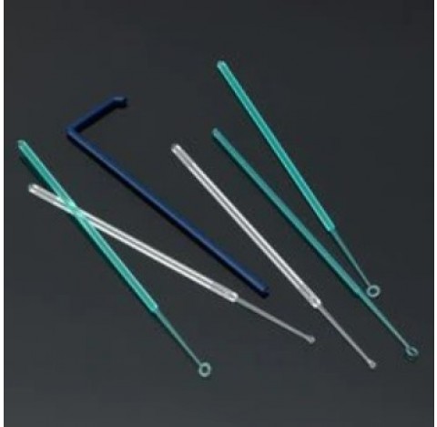 Boucle d'inoculation 1 ul, couleur trans