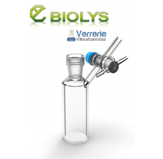 Tube schlenk 25 ml rodage 14/23 rodaviss robinet 2.5 mm clé verre